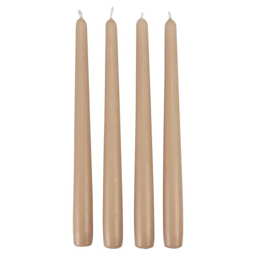 Floristik24 Candele coniche Candele Wenzel beige 250/23mm 12 pz