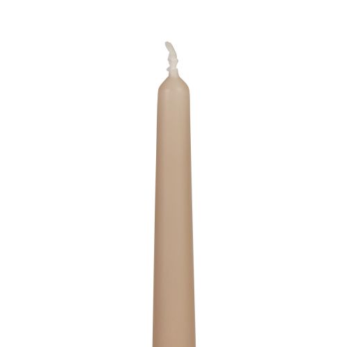 Floristik24 Candele coniche Candele Wenzel beige 250/23mm 12 pz