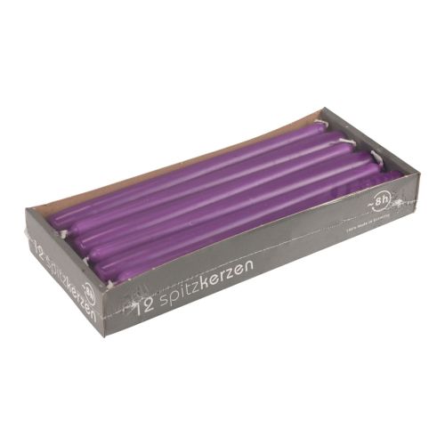 Floristik24 Candele coniche Candele Wenzel viola 250/23mm 12 pz