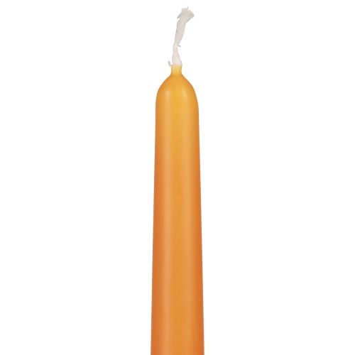 Prodotto Candele coniche, candele a bastoncino, candele Wenzel, arancione, 250/23 mm, 12 pezzi