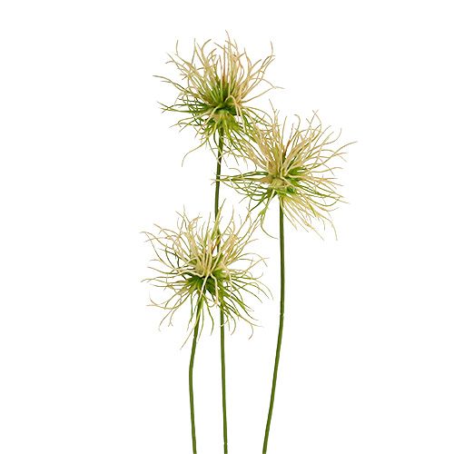 Floristik24 Rami Spitzklette verde crema 63cm 4 pezzi