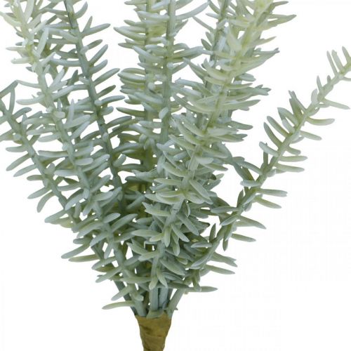 Floristik24 Sprenerie Asparagi Ornamentali Piante Artificiali Verde 23cm 4pz