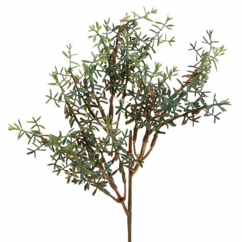Floristik24 Raccoglitore di timo verde artificiale 26 cm 6 pezzi