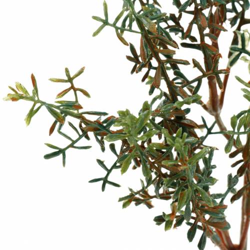 Floristik24 Raccoglitore di timo verde artificiale 26 cm 6 pezzi