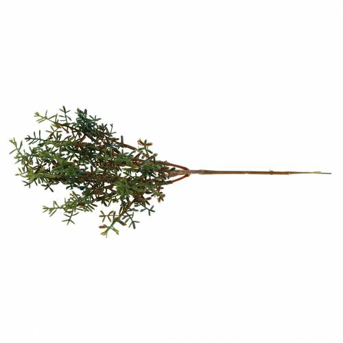 Floristik24 Raccoglitore di timo verde artificiale 26 cm 6 pezzi