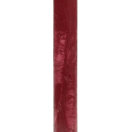 Floristik24 Candela 21mm x 300mm rosso scuro tinto in massa 12pz