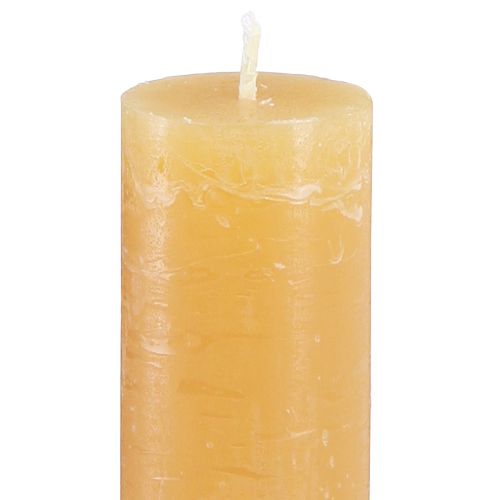 Floristik24 Candele coniche candele tinta unita miele 34x240mm 4 pz