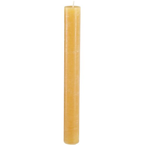 Floristik24 Candele coniche miele tinta unita 34x300mm 4 pz