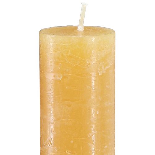 Floristik24 Candele coniche miele tinta unita 34x300mm 4 pz