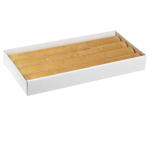 Floristik24 Candele coniche miele tinta unita 34x300mm 4 pz