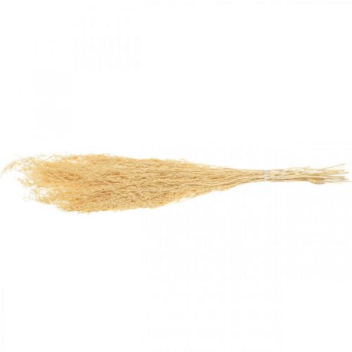 Floristik24 Crema Di Lavanda Di Mare Essiccata Statice Dry Deco 100g