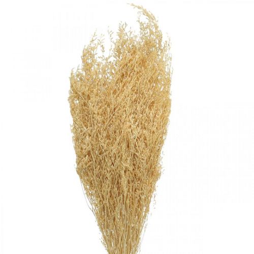 Floristik24 Crema Di Lavanda Di Mare Essiccata Statice Dry Deco 100g