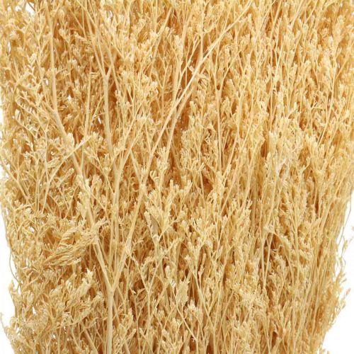 Floristik24 Crema Di Lavanda Di Mare Essiccata Statice Dry Deco 100g
