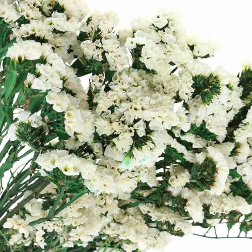Floristik24 Mazzo di fiori secchi lavanda marina bianca 40–55 cm 120 g
