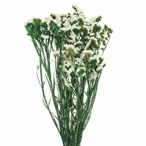 Floristik24 Mazzo di fiori secchi lavanda marina bianca 40–55 cm 120 g