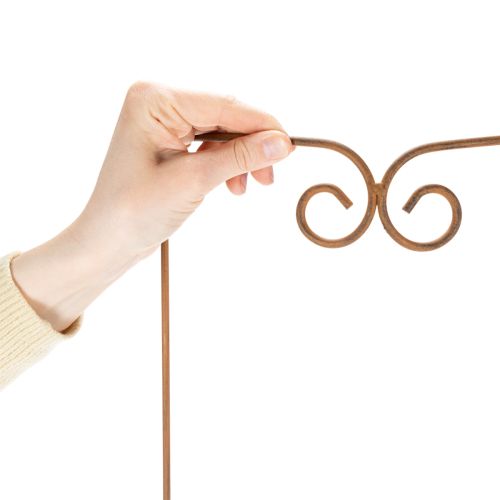 Prodotto Traliccio, supporto per arrampicata, elemento decorativo curvo per aiuole e vasi, 75 cm