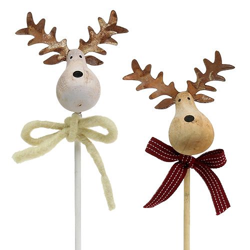 Floristik24 Plug Moose Nature, bianco 7cm L30cm 8 pezzi