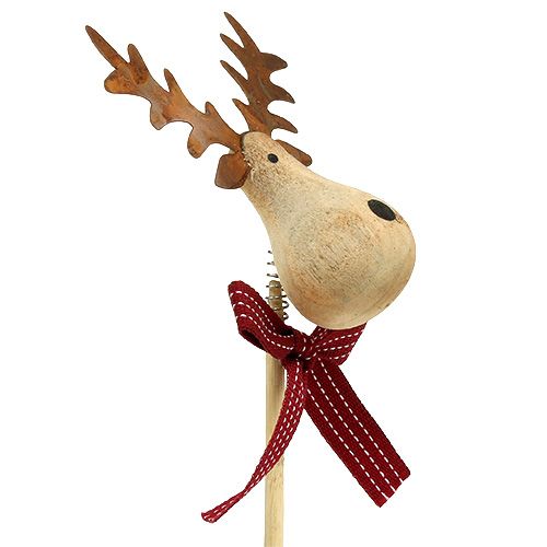 Floristik24 Plug Moose Nature, bianco 7cm L30cm 8 pezzi