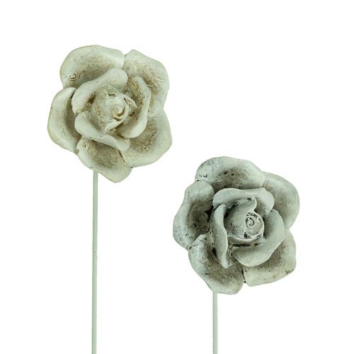 Floristik24 Rose da plug assortite. Ø5,5 cm L19 cm 4 pezzi