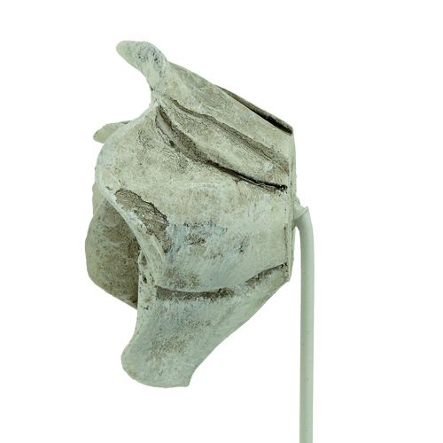 Floristik24 Rose da plug assortite. Ø5,5 cm L19 cm 4 pezzi