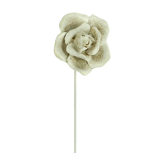 Floristik24 Rose da plug assortite. Ø5,5 cm L19 cm 4 pezzi