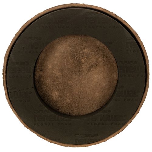 Anello in spugna floreale con base OASIS® Renewal® Spugna Floreale Biolit® 38 cm 2 pezzi acquistare | Floristik24.it