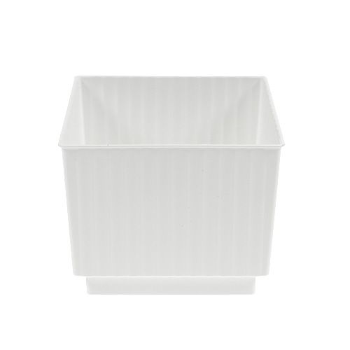 Floristik24 Cubo per schiuma floreale 6,5 cm bianco 20 pezzi