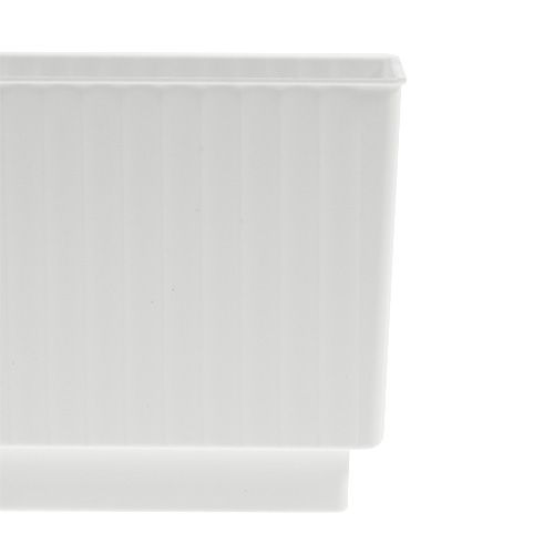 Floristik24 Cubi per schiuma floreale 6,5 cm bianchi 20 pz