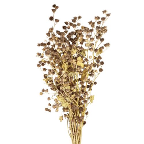 Decorazione fiori secchi rami decorativi Ramo Stefani 95cm  200g-64722