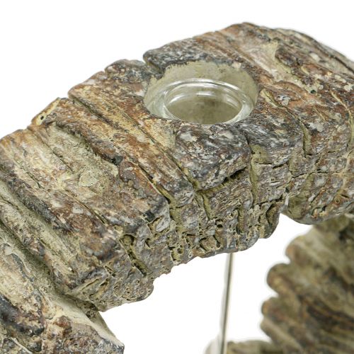 Floristik24 Vaso in cemento con anello per provetta Ø16cm