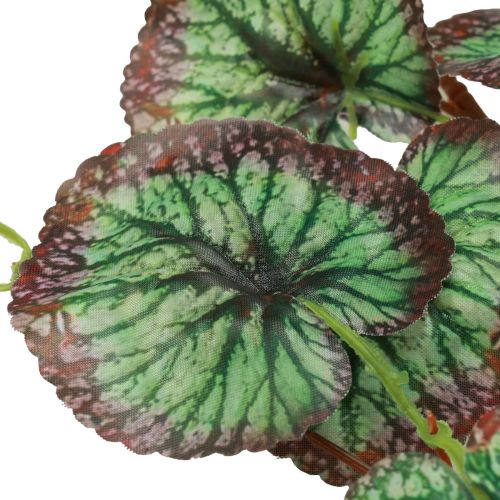 Prodotto Ghirlanda decorativa Sassifraga artificiale verde Saxifraga 152 cm
