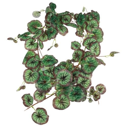 Prodotto Ghirlanda decorativa Sassifraga artificiale verde Saxifraga 152 cm