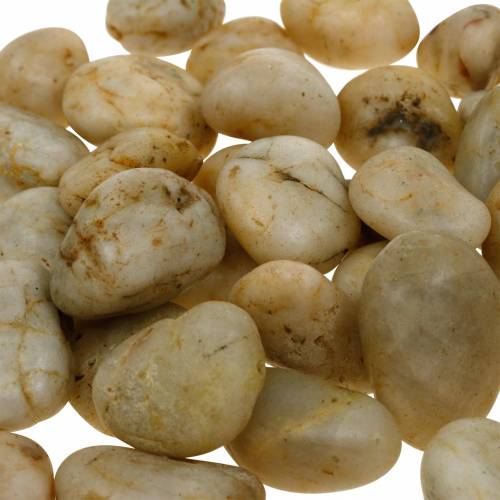 Floristik24 Ciottoli di fiume crema naturale 2-4cm 1kg