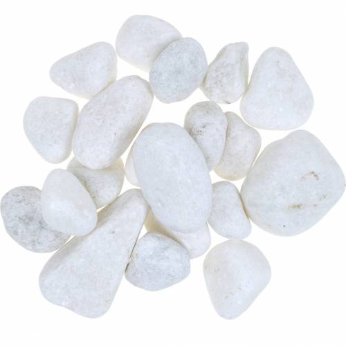 Floristik24 Ciottoli di fiume Bianco Naturale 3-5cm 1kg