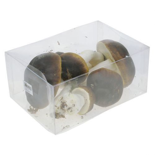 Floristik24 Funghi porcini marroni H8cm - 20cm 6pz