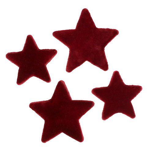 Floristik24 Stelle decorative natalizie Decorazione da tavola floccata bordeaux 4–5cm 40p