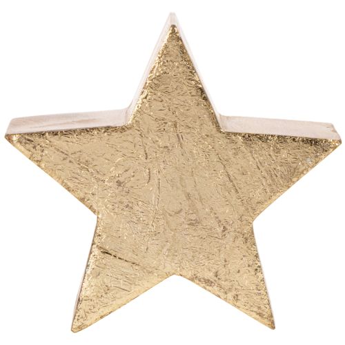 Supporto decorativo a forma di stella natalizia per tavolo o mensola, 10 cm, 3 pezzi | Floristik24.it