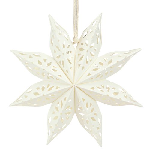 Prodotto Carta appendiabiti decorativa stella fiocco di neve bianca Ø20 cm 6 pz