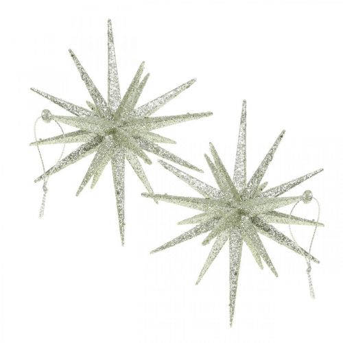 Floristik24 Decorazione natalizia stella da appendere champagne Ø15cm 4pz