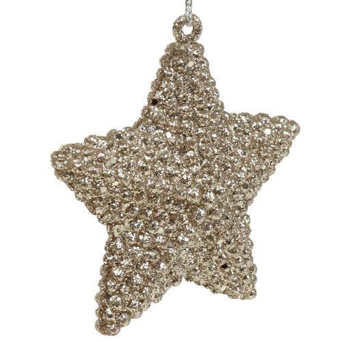 Floristik24 Stella con mica champagne 7,5 cm 12 pezzi