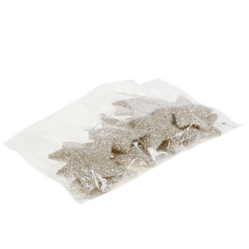 Floristik24 Stella con mica champagne 7,5 cm 12 pezzi