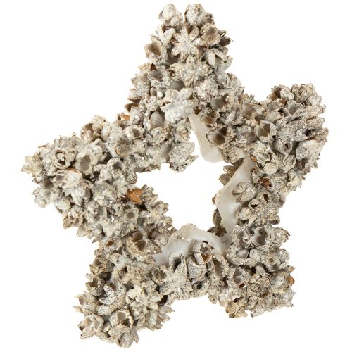 Floristik24 Stella da appendere Decorazione natalizia bianca, glitter Ø15cm