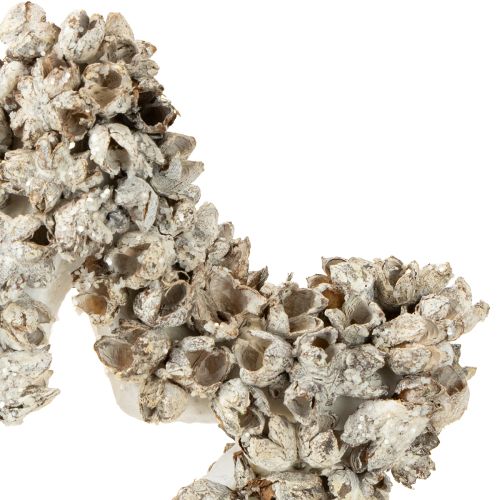 Prodotto Stella da appendere Decorazione natalizia bianca, glitter Ø15cm