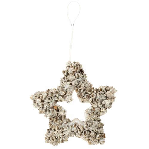 Prodotto Stella da appendere Decorazione natalizia bianca, glitter Ø15cm