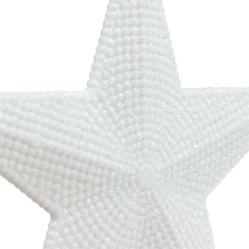 Floristik24 Stella da appendere bianca 11 cm L19 cm 6 pezzi