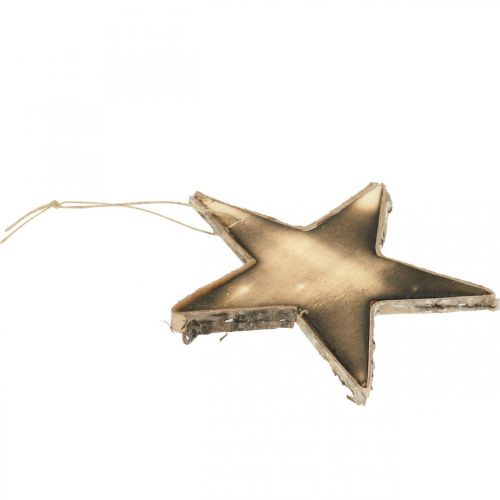 Floristik24 Stella in legno da appendere decorazioni per albero di Natale fiammate naturali H15cm