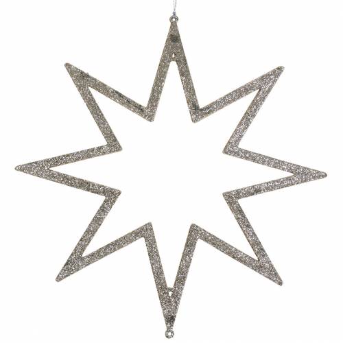 Floristik24 Decorazioni natalizie stelle decorazioni per alberi di Natale champagne glitter 22cm 12 pezzi