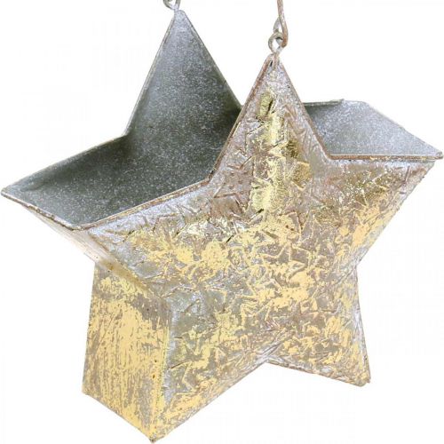 Floristik24 Stella decorativa in metallo per appendere e decorare Dorata Ø13cm
