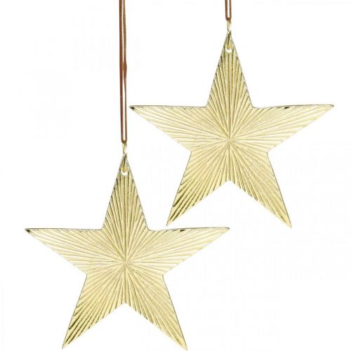 Floristik24 Stella d&#39;oro, decorazione dell&#39;avvento, ciondolo decorativo per Natale 12×13 cm 2 pezzi
