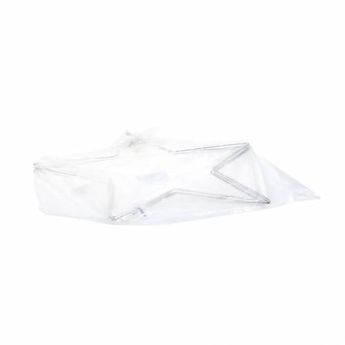 Floristik24 Stella Deco argento 40cm 4 pezzi